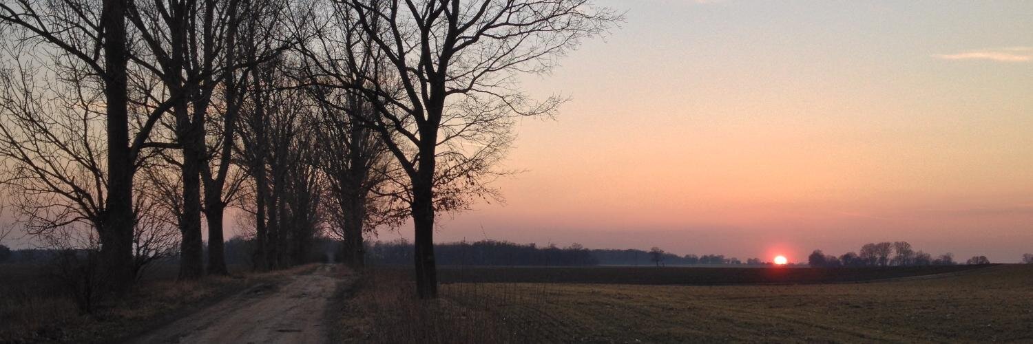 Tom45z's profile banner image