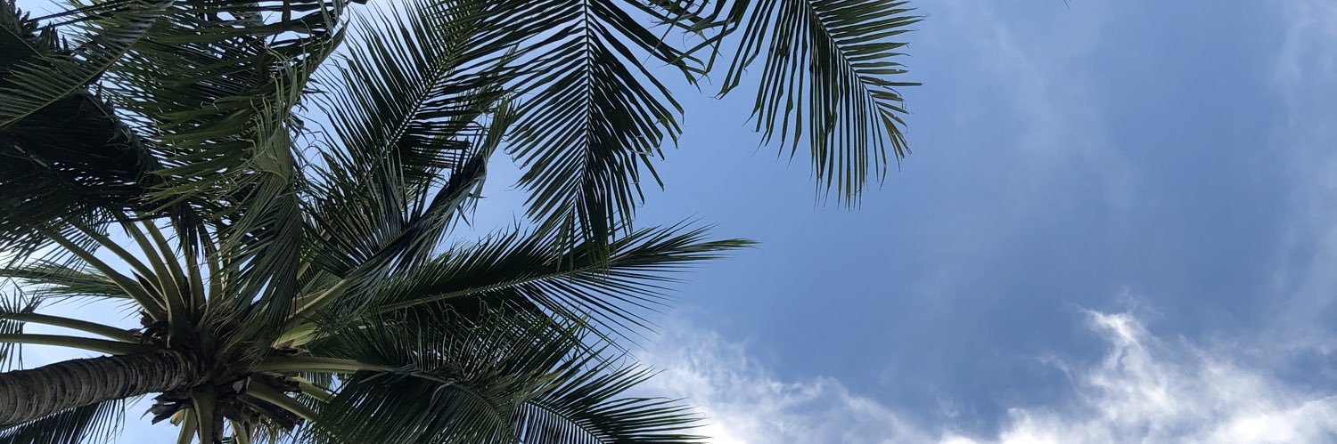 vikaizer's profile banner image