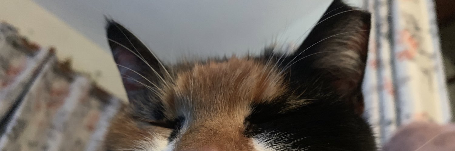 ayygingeraffe's profile banner image