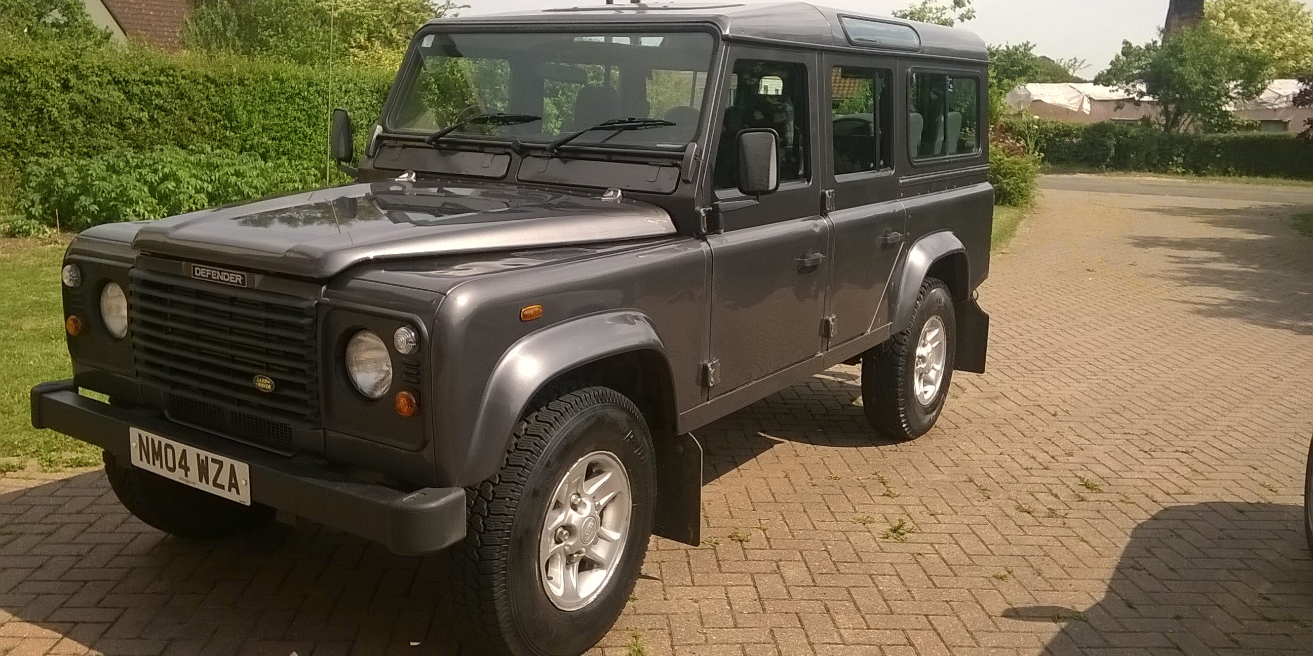 Helena West 🇺🇦 🌻 banner