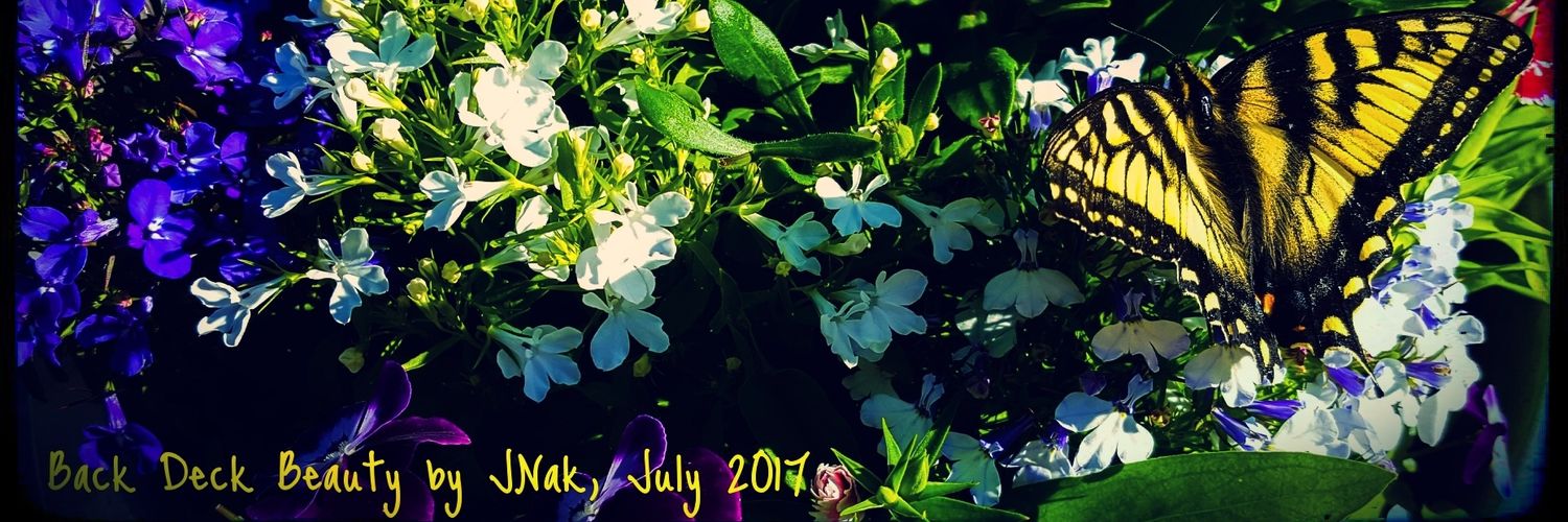 JNak (she/her) banner