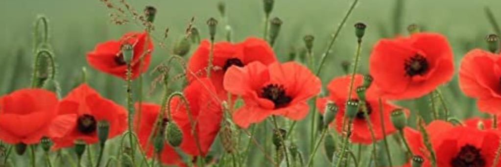 Royal Air Force Widows Association banner