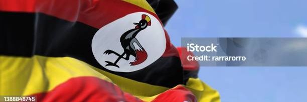 🇺🇬 🇺🇬 I Love Uganda 🇺🇬 🇺🇬 banner