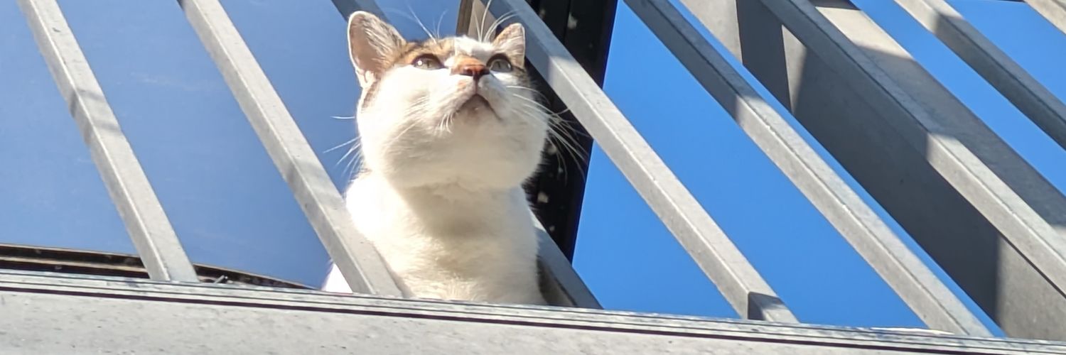 akaganeee's profile banner image