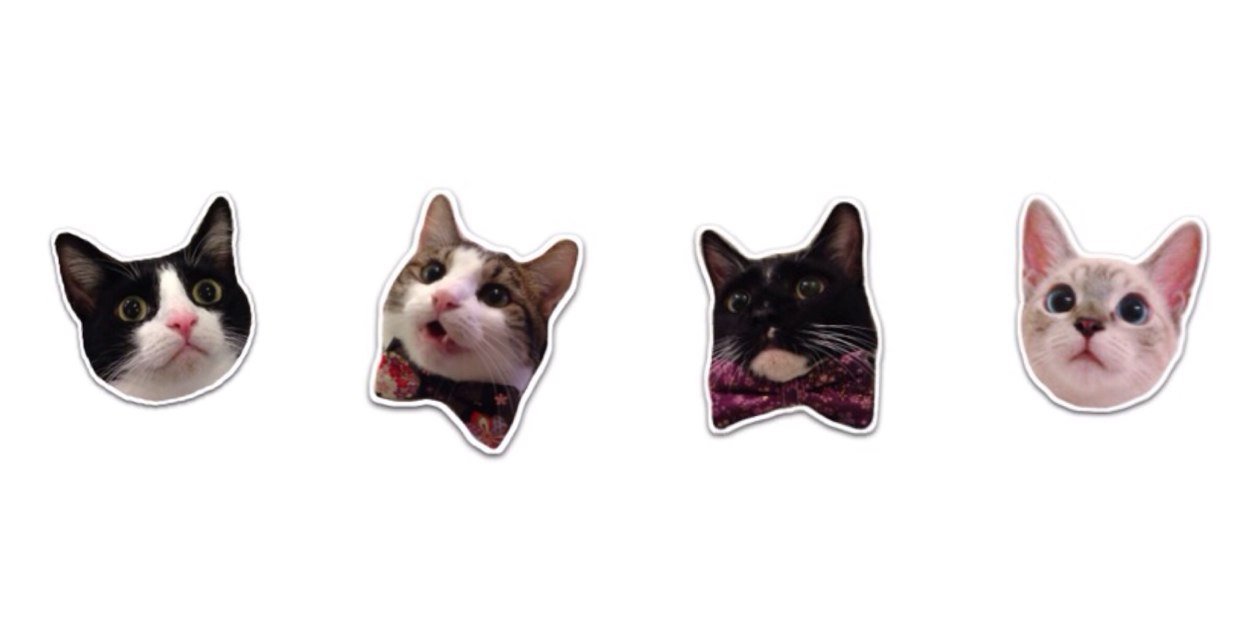 baxter_chibi's profile banner image