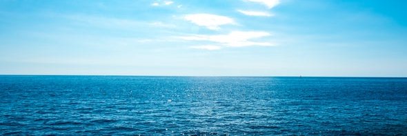 DigbyScallop's profile banner image