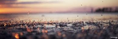 Rashid Al-Marri banner