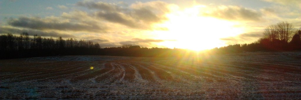 FibervibeTV's profile banner image