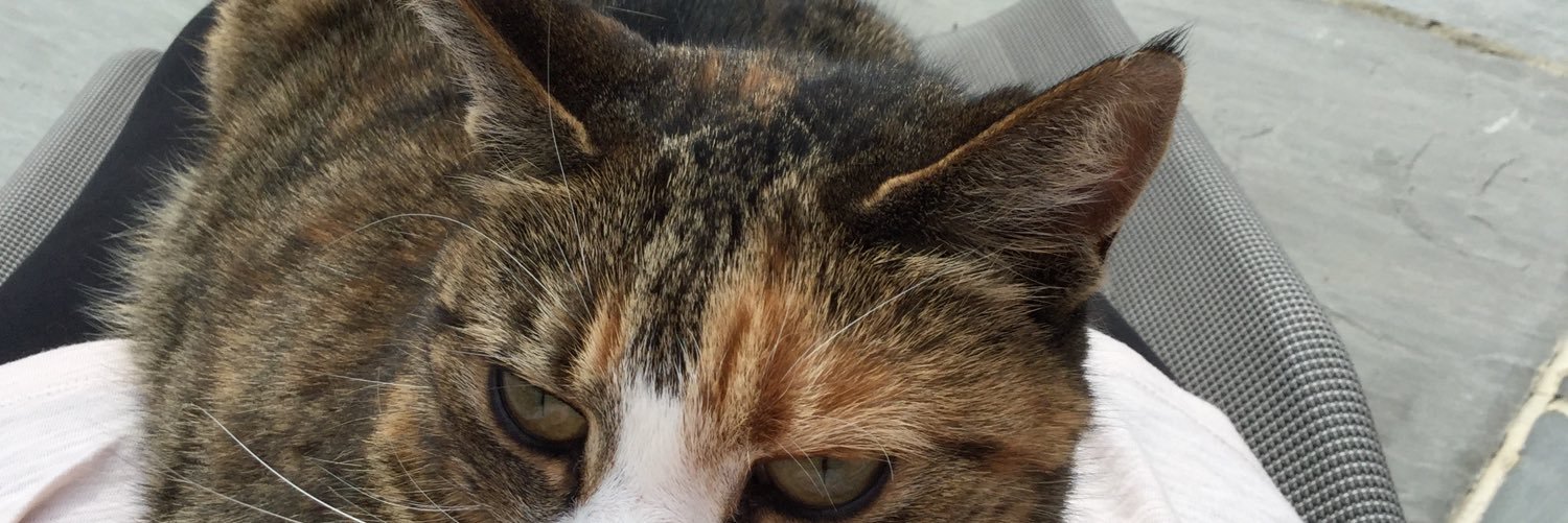 Barbara Farnan banner