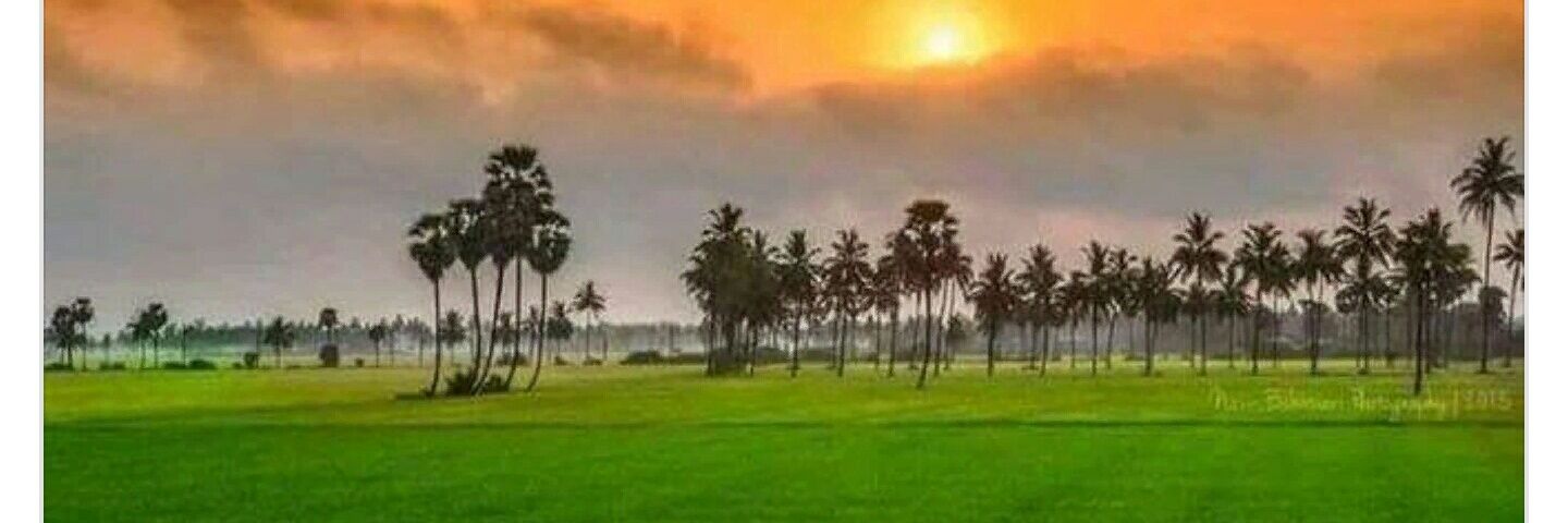 dtindian's profile banner image