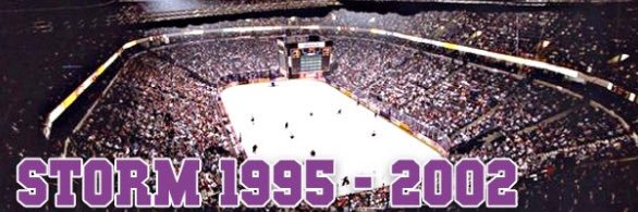 Manchester Storm (1995-2002) banner