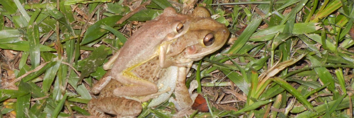 mccomasj's profile banner image