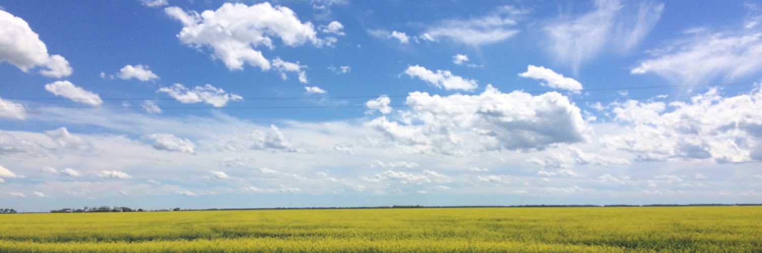 AprilGislason's profile banner image