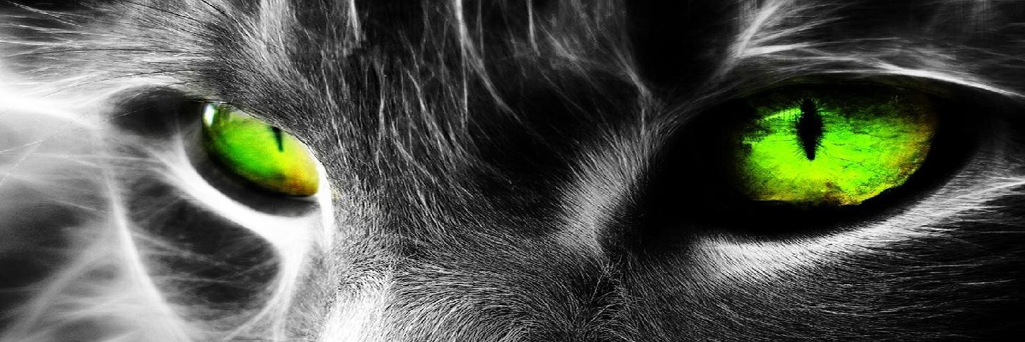 Deibys_AZC's profile banner image