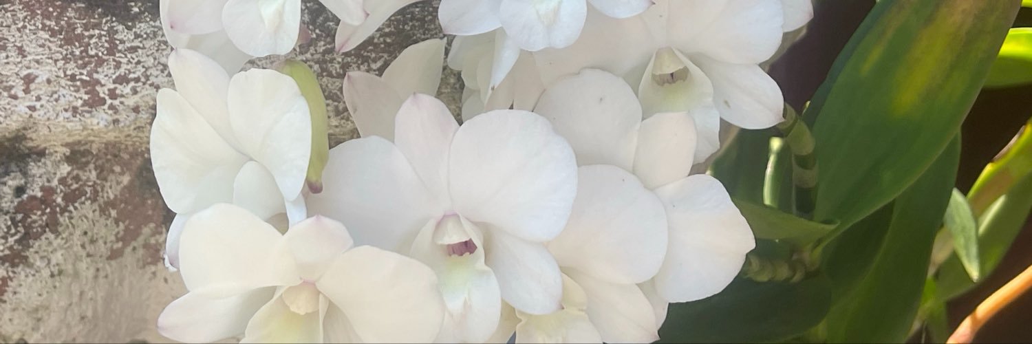 DunyaskaPorVer's profile banner image