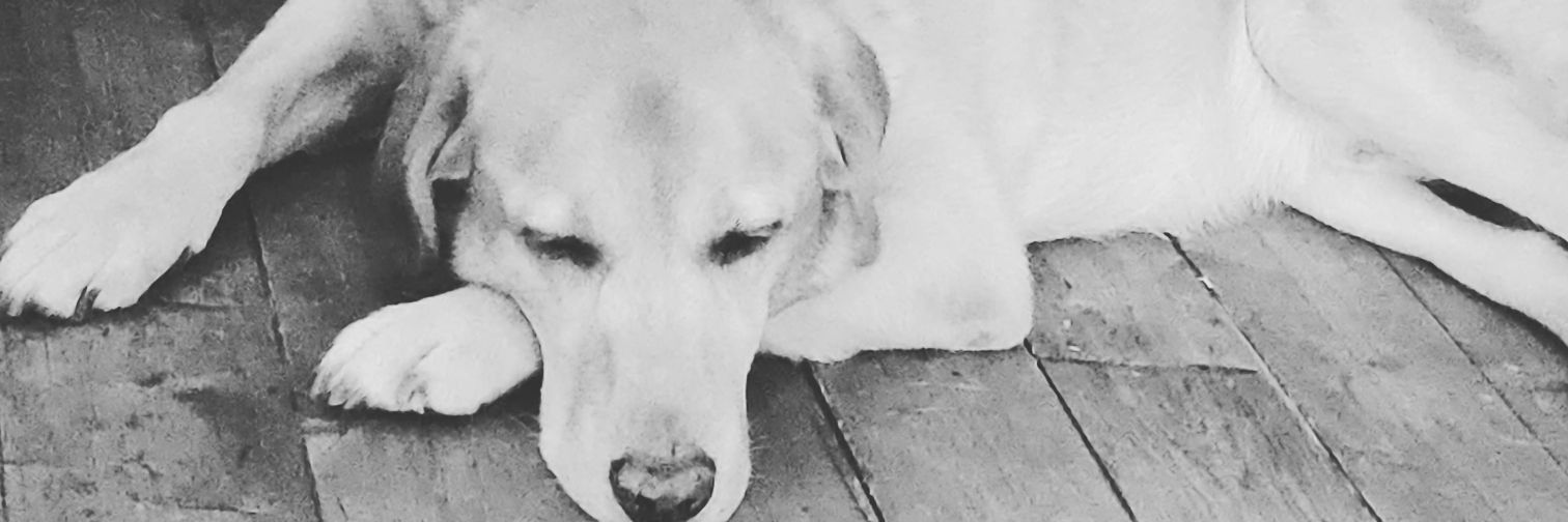 Debi2483's profile banner image