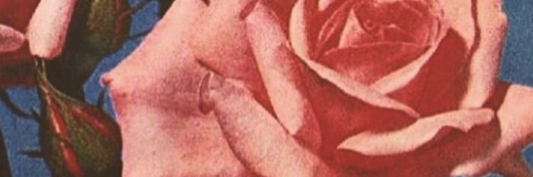 Beenza's profile banner image