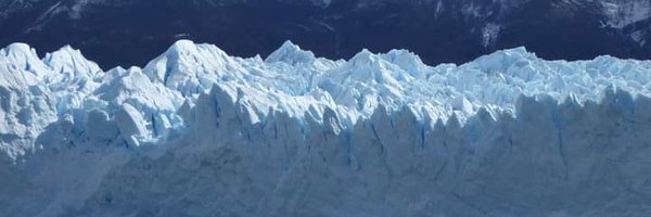 beatricepickup Profile Banner