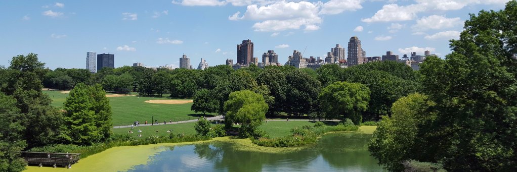 HAP_NY's profile banner image