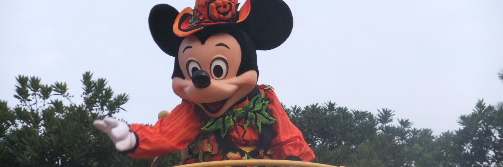 yogaster's profile banner image