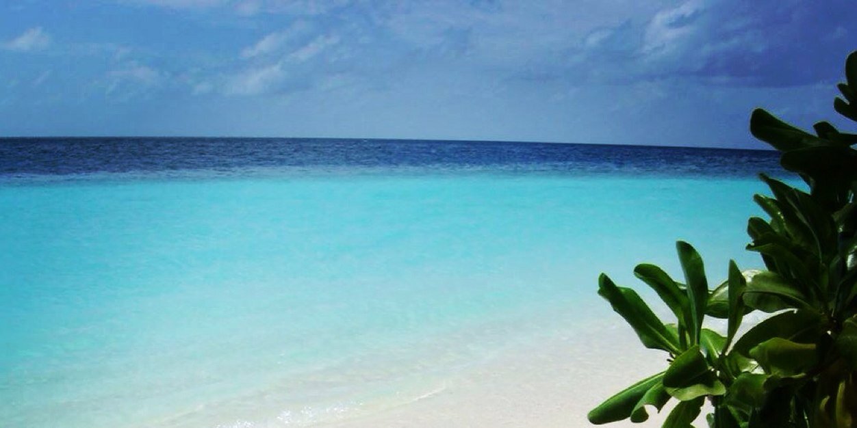 StaManto's profile banner image