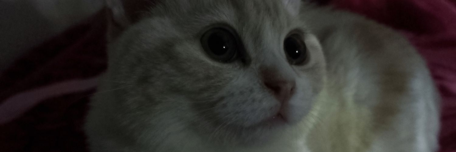 nyrawaleed's profile banner image
