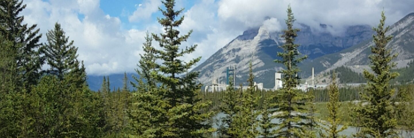 delorescard's profile banner image