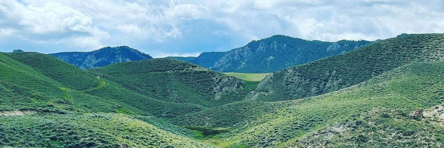 jwagsIDPharmD's profile banner image
