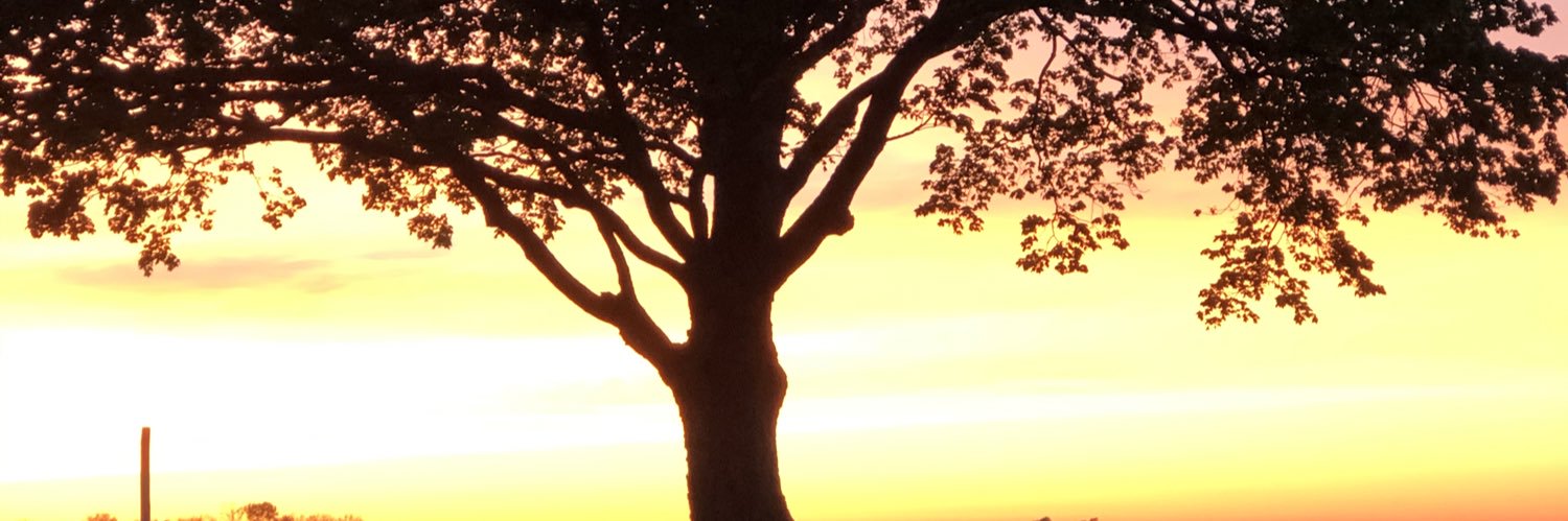 RIPNIT's profile banner image