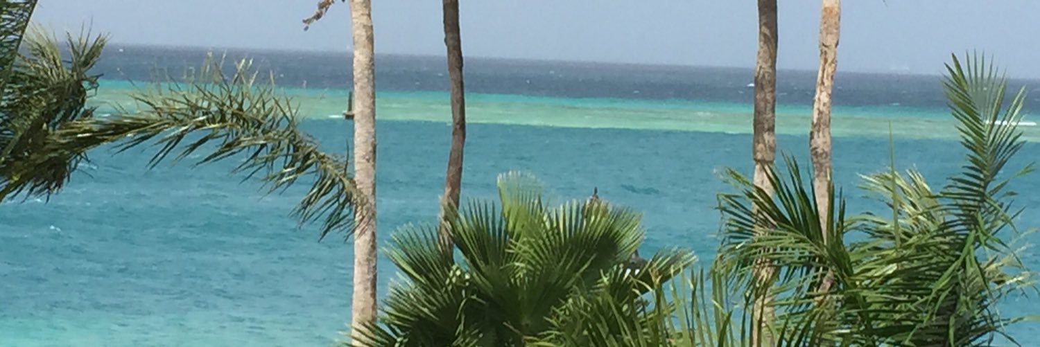 mindofesmerelda's profile banner image