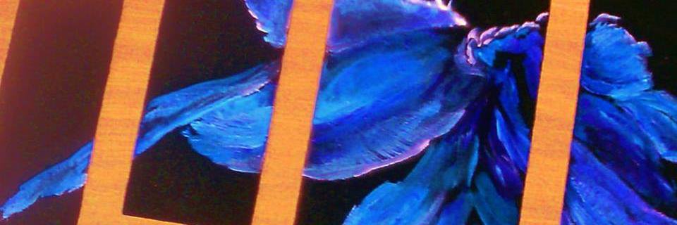 Kileyme2's profile banner image
