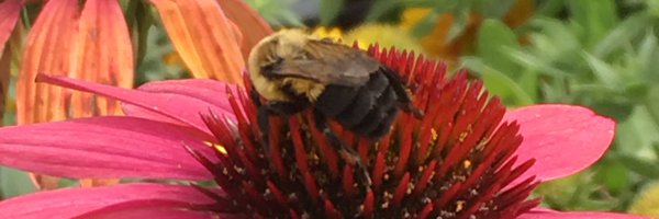 mrsbeyna Profile Banner