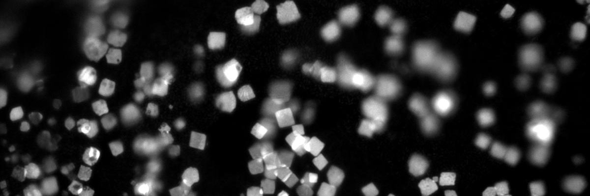 Nature Chemical Biology banner