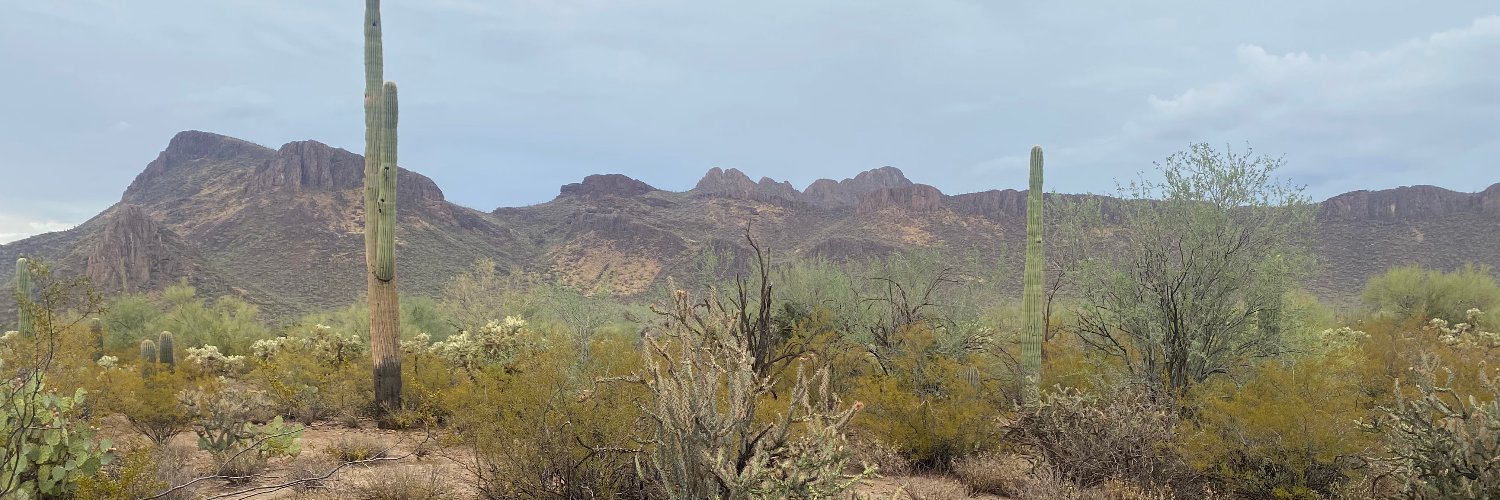 rhonierika's profile banner image