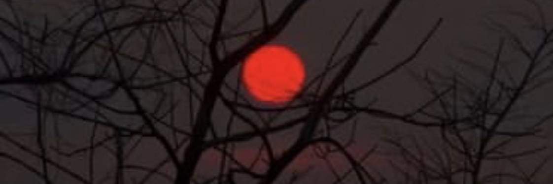 ahmm359's profile banner image