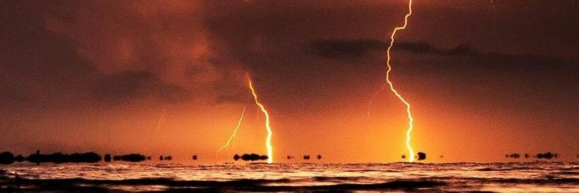 Ingrid Gonzalez banner