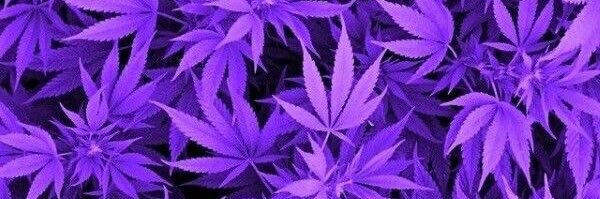DiegodeSwaan's profile banner image