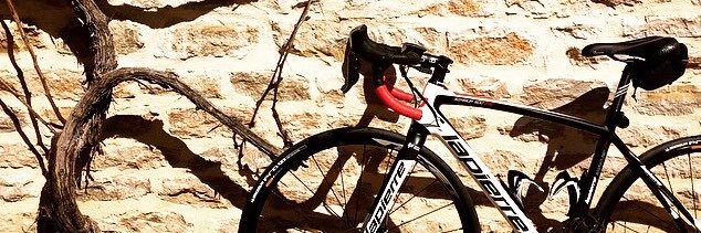 Sophie Dufouleur banner