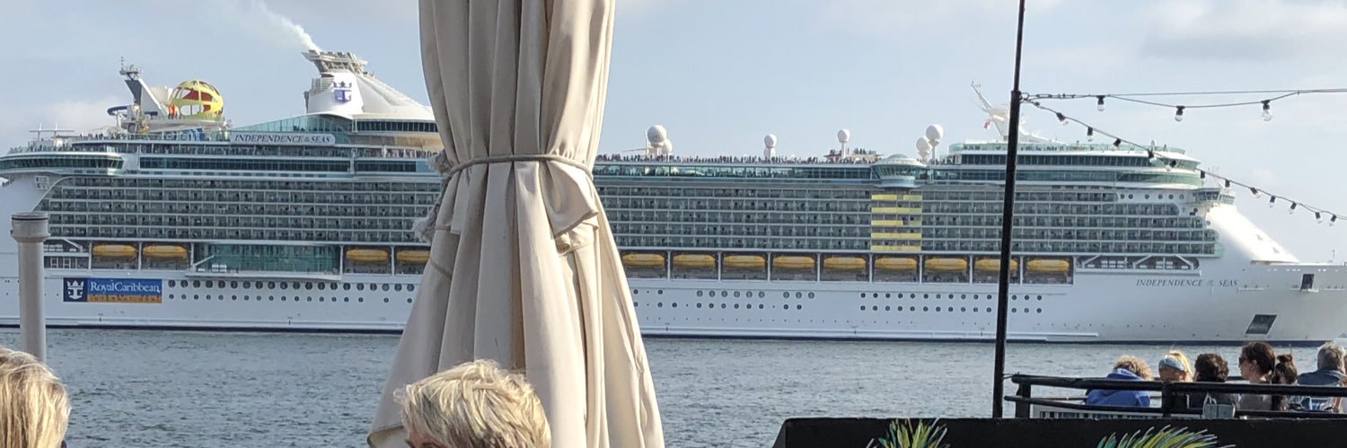 👑 Čedomir banner
