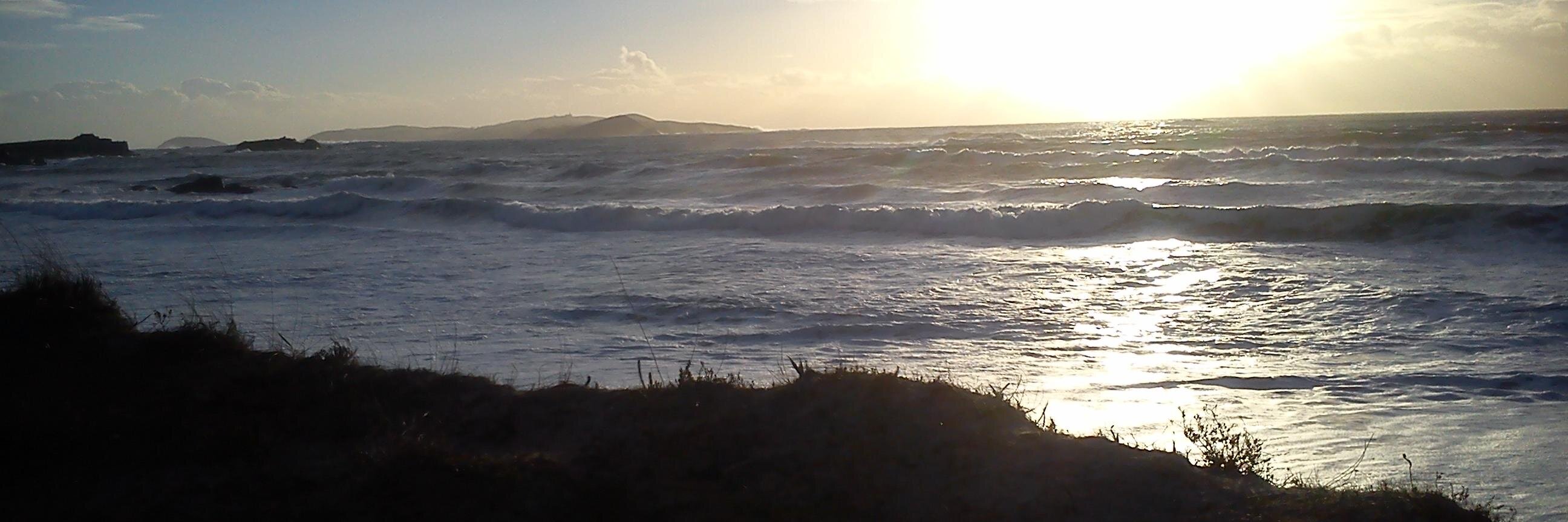 Emilia Rodríguez banner