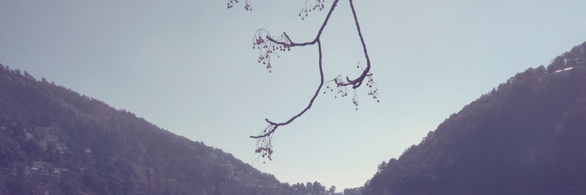 __Prakhar__'s profile banner image