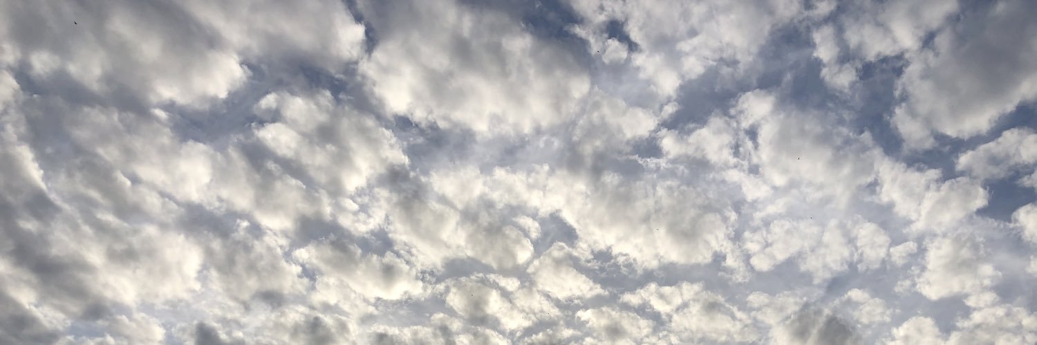 CorianneB's profile banner image