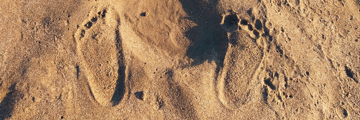 𝕄𝕚𝕣 𝕀 𝕒𝕞🦋 banner