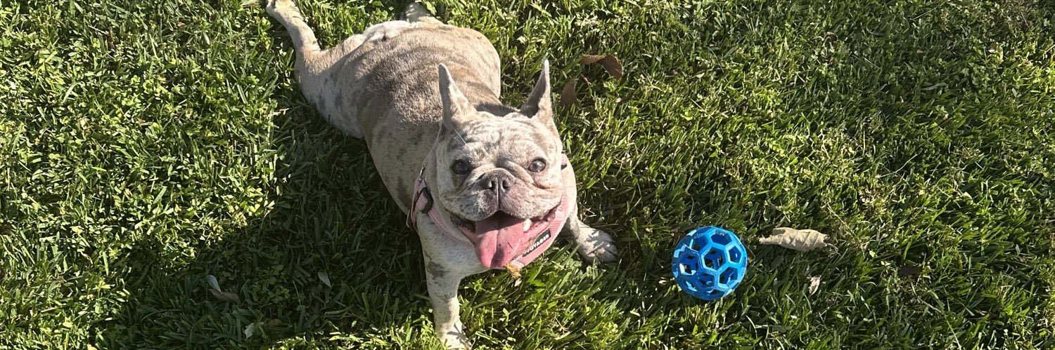 Gucci_Rodrigo's profile banner image