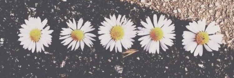 courty05's profile banner image