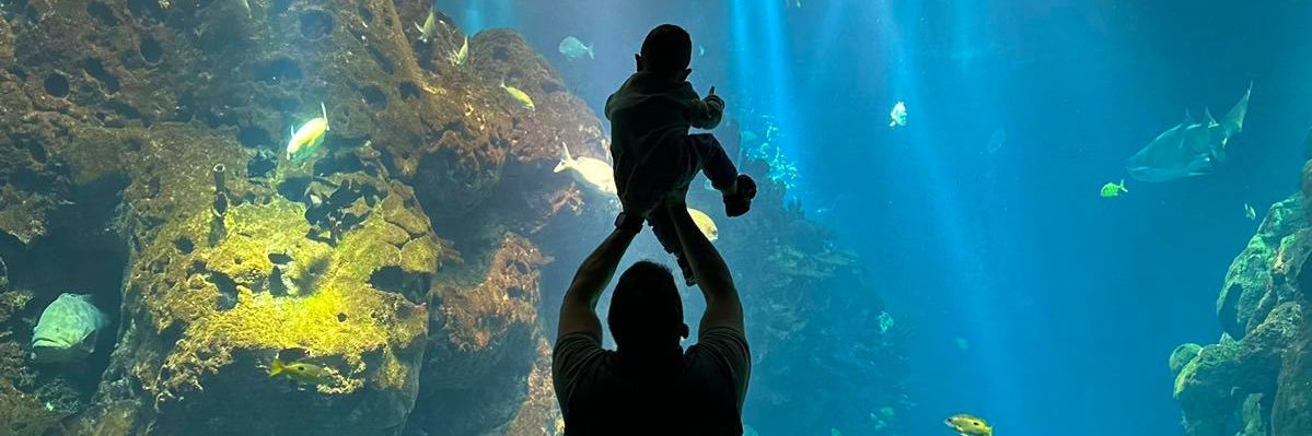 Hussainmadi حسين مدي banner