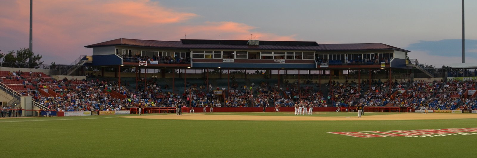 Wichita Wingnuts banner