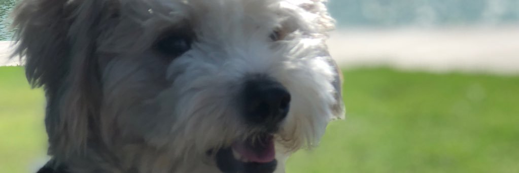 RamsesLux's profile banner image