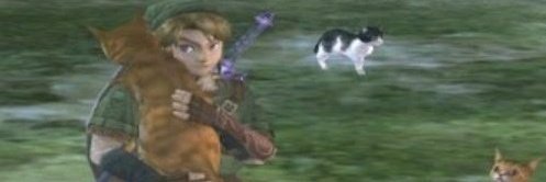 Misha 🇮🇪🇪🇺 ye olde immigrante banner