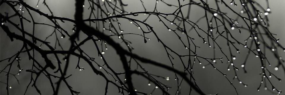 mayadadi1's profile banner image